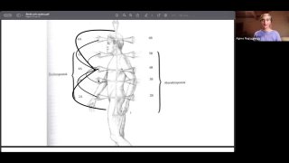 GYAKORLAT: Energia áramoltatás